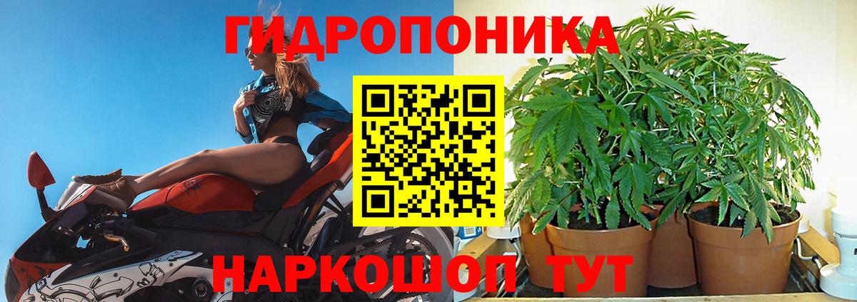 Бошки марихуана White Widow Новороссийск